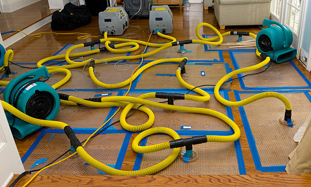 Professional Crawl Space Water Removal technician working in Hanover, MN